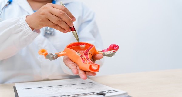 Bladder Stone Treatment in Delhi