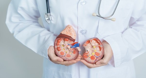 Kidney Transplant Doctor in Delhi